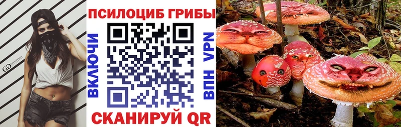 где можно купить   Струнино  Галлюциногенные грибы прущие грибы 